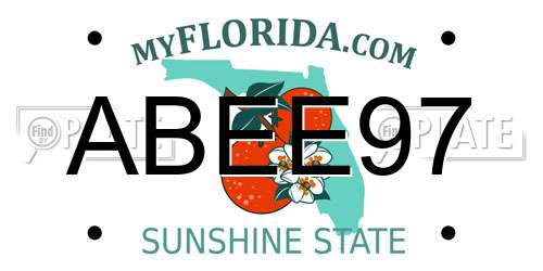 ABEE97 Florida License Plate