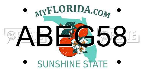 ABEG58 Florida License Plate