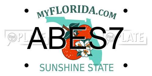 ABES7 Florida License Plate