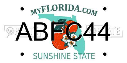 ABFC44 Florida License Plate
