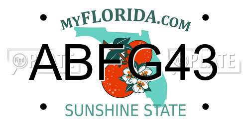 ABFG43 Florida License Plate