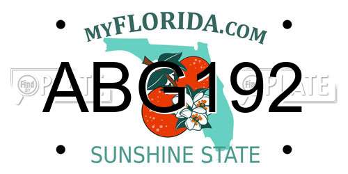 ABG192 Florida License Plate