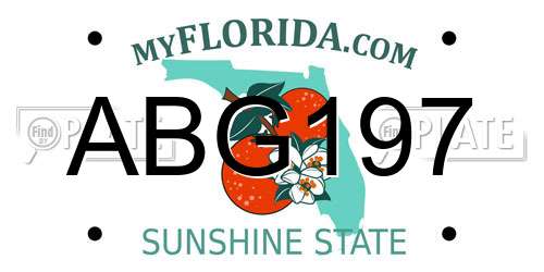 ABG197 Florida License Plate