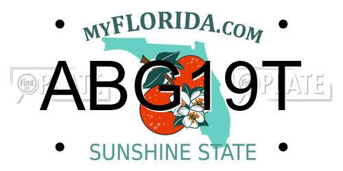 ABG19T Florida License Plate