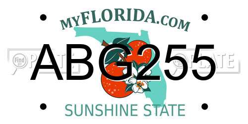 ABG255 Florida License Plate