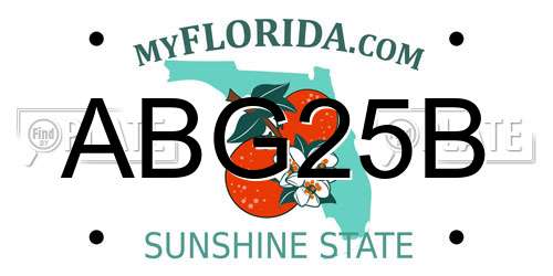 ABG25B Florida License Plate