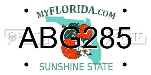 ABG285 Florida License Plate