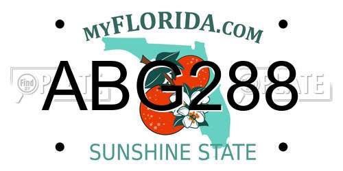 ABG288 Florida License Plate