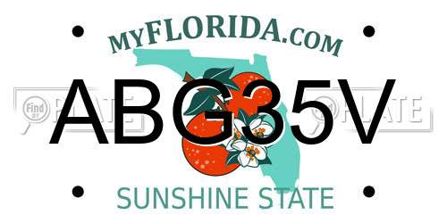 ABG35V Florida License Plate