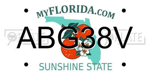 ABG38V Florida License Plate
