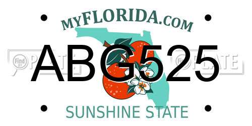 ABG525 Florida License Plate
