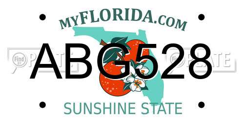 ABG528 Florida License Plate