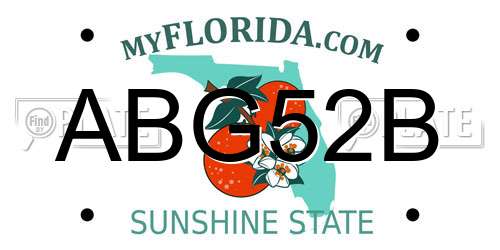 ABG52B Florida License Plate