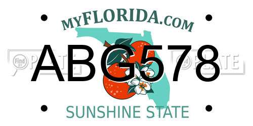 ABG578 Florida License Plate