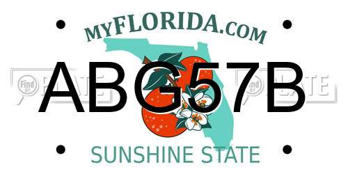 ABG57B Florida License Plate