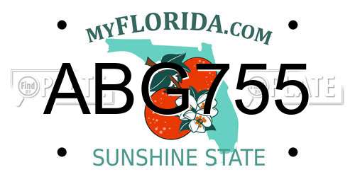 ABG755 Florida License Plate