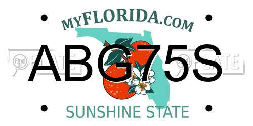 ABG75S Florida License Plate