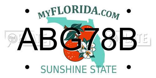 ABG78B Florida License Plate