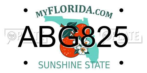 ABG825 Florida License Plate