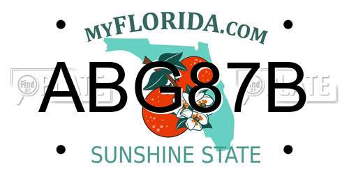 ABG87B Florida License Plate