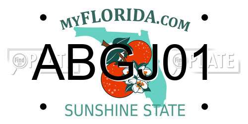 ABGJ01 Florida License Plate