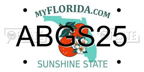 ABGS25 Florida License Plate