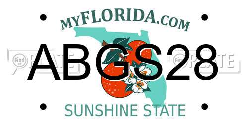 ABGS28 Florida License Plate