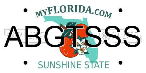 ABGTSSS Florida License Plate