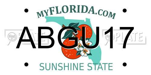 ABGU17 Florida License Plate