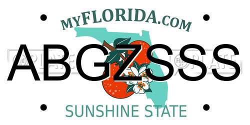 ABGZSSS Florida License Plate