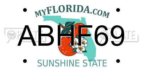 ABHF69 Florida License Plate