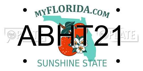 ABHT21 Florida License Plate