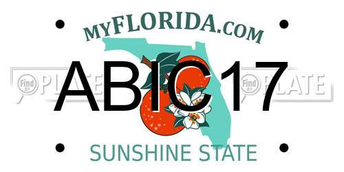 ABIC17 Florida License Plate
