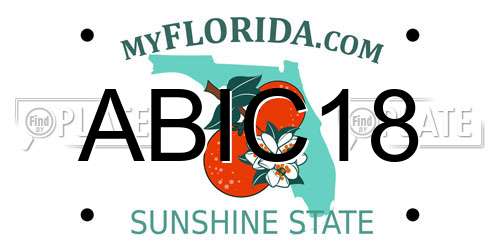ABIC18 Florida License Plate