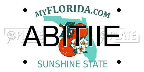 ABITIIE Florida License Plate