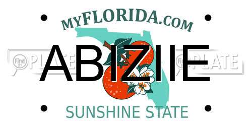 ABIZIIE Florida License Plate