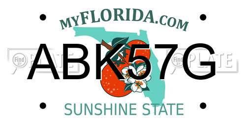 ABK57G Florida License Plate