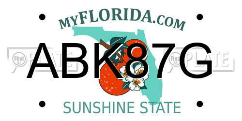 ABK87G Florida License Plate