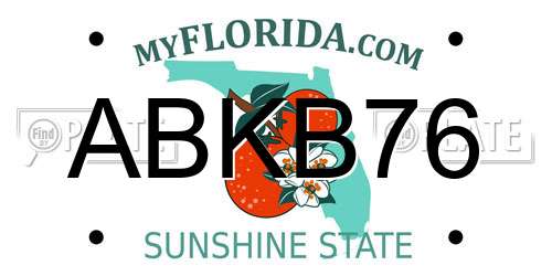 ABKB76 Florida License Plate