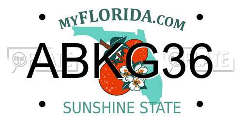 ABKG36 Florida License Plate