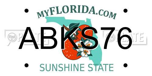 ABKS76 Florida License Plate
