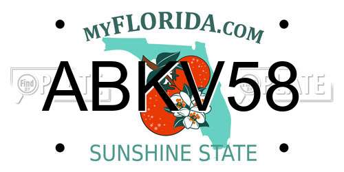 ABKV58 Florida License Plate