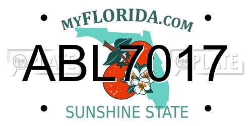 ABL7017 Florida License Plate