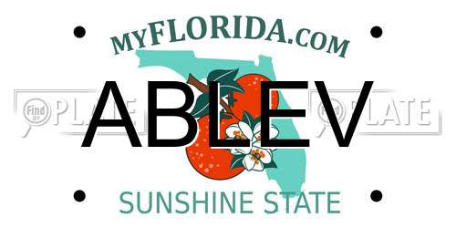 ABLEV Florida License Plate
