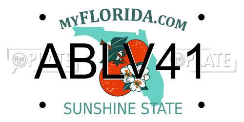 ABLV41 Florida License Plate