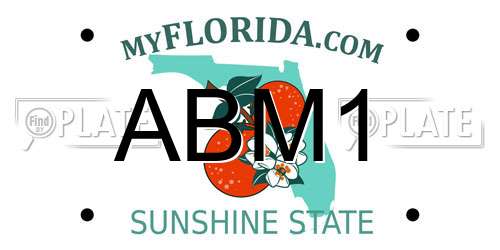 ABM1 Florida License Plate