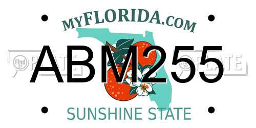 ABM255 Florida License Plate