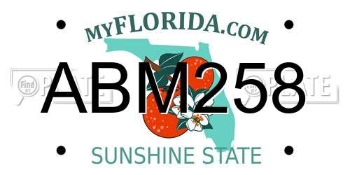ABM258 Florida License Plate