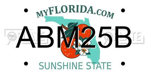 ABM25B Florida License Plate