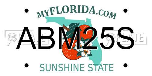 ABM25S Florida License Plate